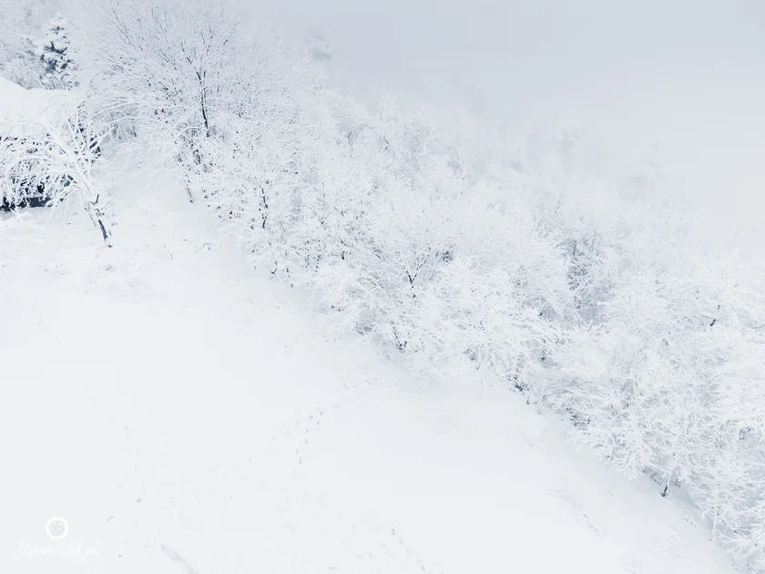 Neve sul Monte Serra (PISA) - 06/01/2020