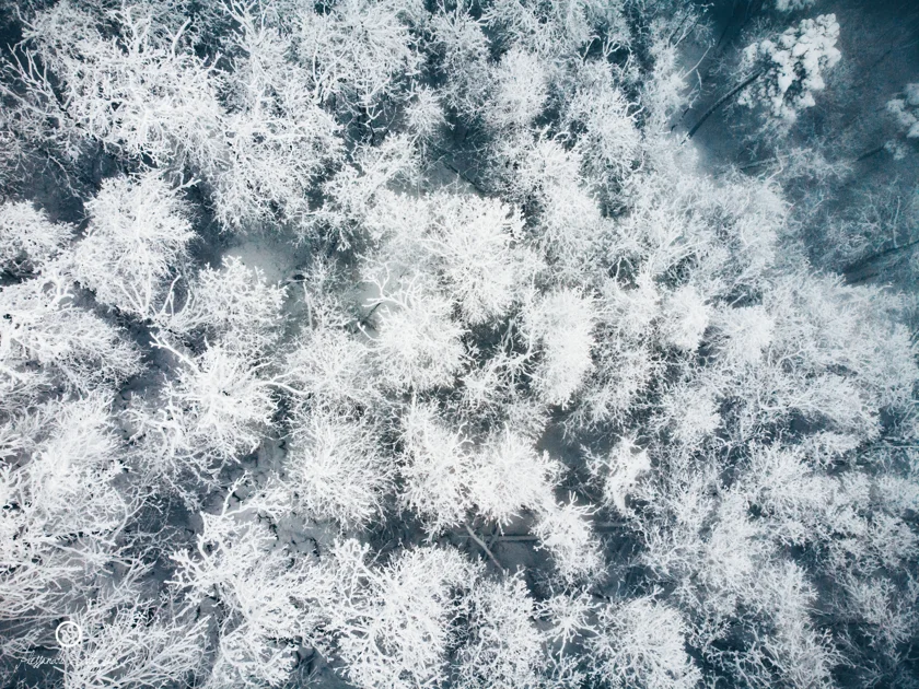 Neve sul Monte Serra (PISA) - 06/01/2020